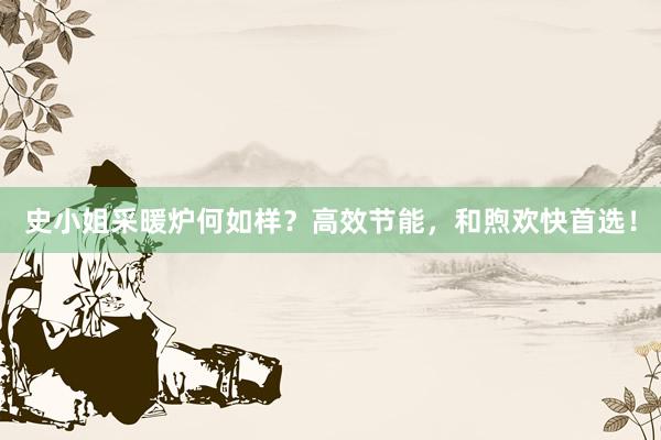 史小姐采暖炉何如样？高效节能，和煦欢快首选！